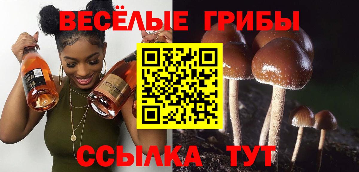 Галлюциногенные грибы Magic Shrooms Удомля